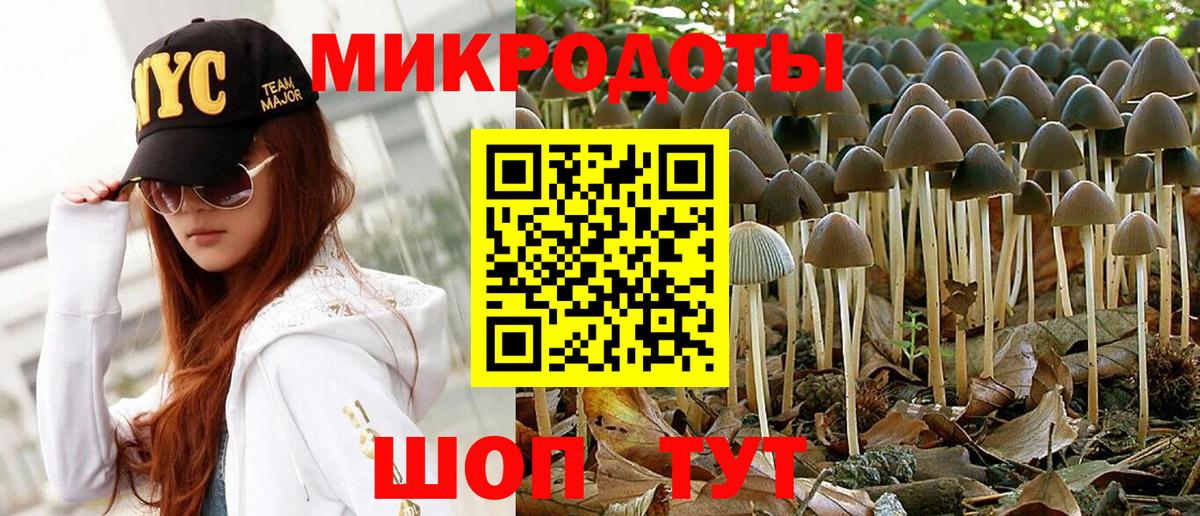 Псилоцибиновые грибы Cubensis  Вход с VPN  Усть-Илимск  Галлюциногенные грибы Psilocybe 