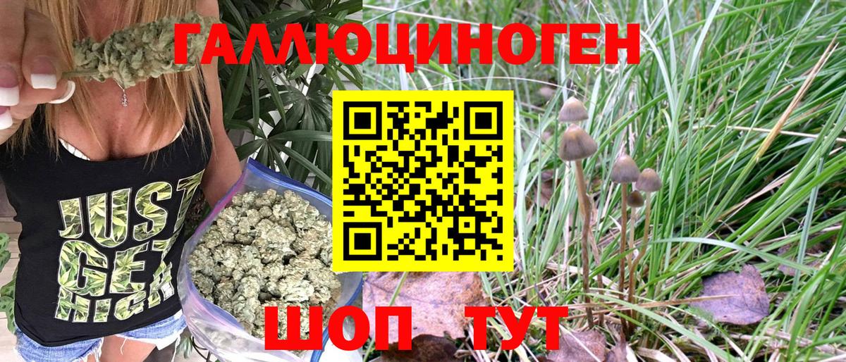 Псилоцибиновые грибы MAGIC MUSHROOMS Усть-Илимск